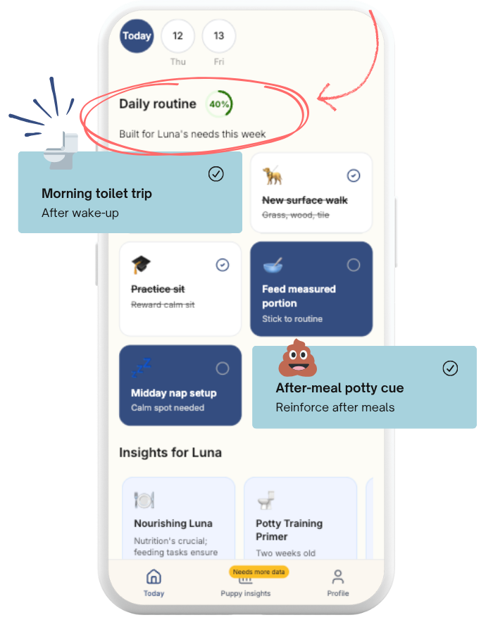 Puppy101 app interface for Personalised daily routines