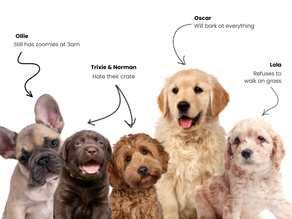 Five adorable puppies with their names and characteristics